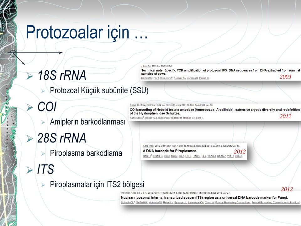 28S rrna ITS Piroplasma barkodlama