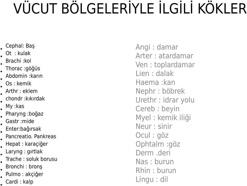 Pankreas Hepat : karaçiğer Laryng : gırtlak Trache : soluk borusu Bronchi : bronş Pulmo : akçiğer Cardi : kalp Angi : damar Arter :