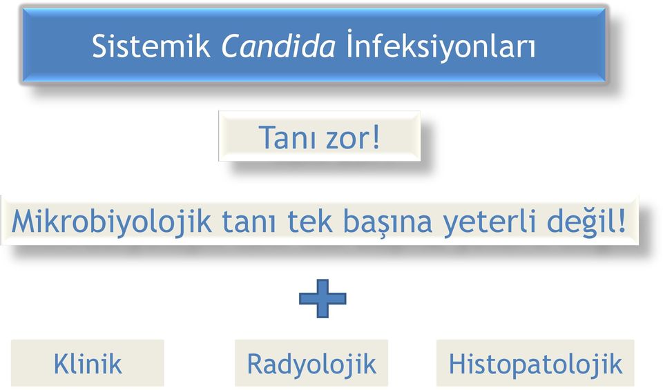 Mikrobiyolojik tanı tek