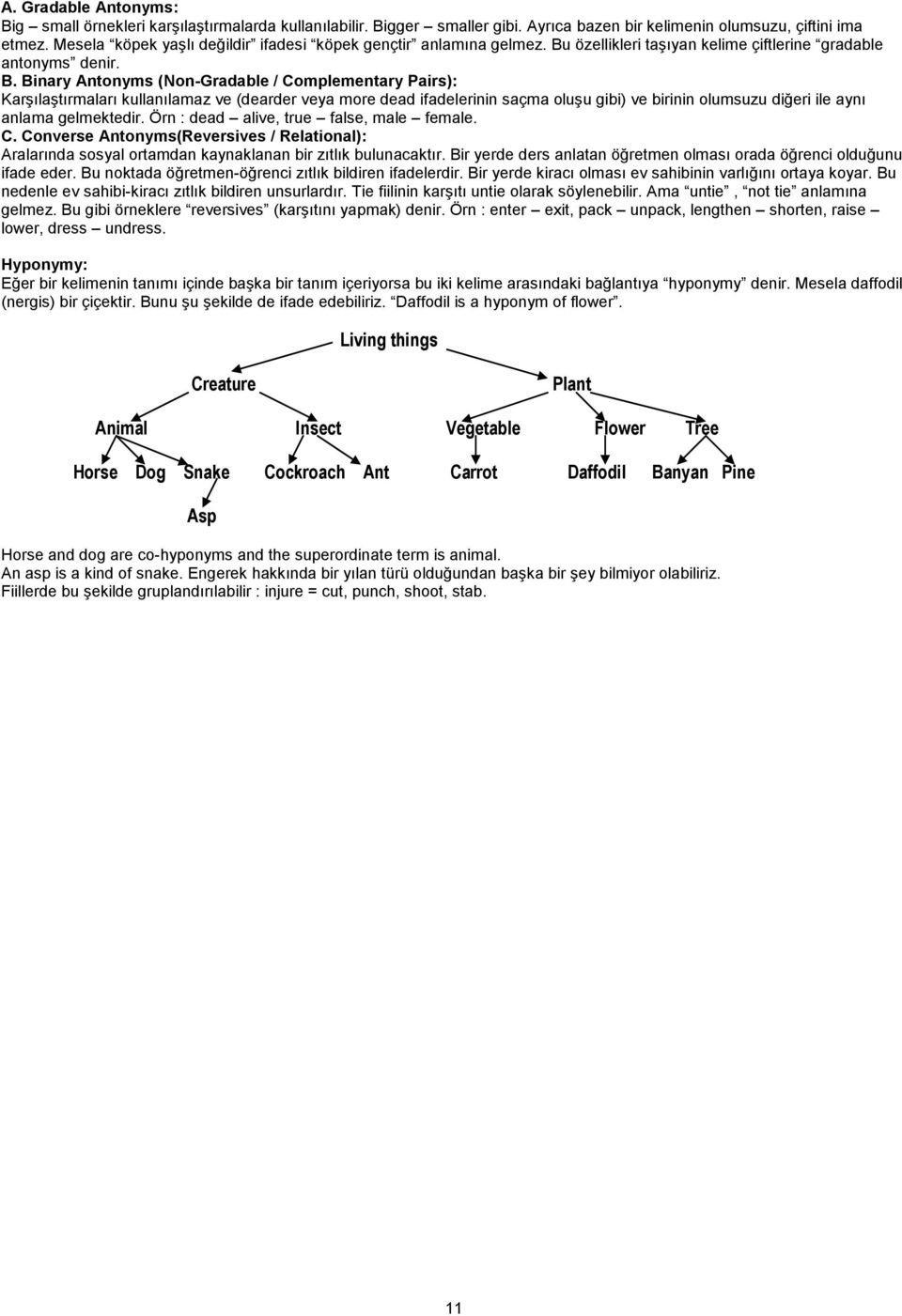 özellikleri taşıyan kelime çiftlerine gradable antonyms denir. B.