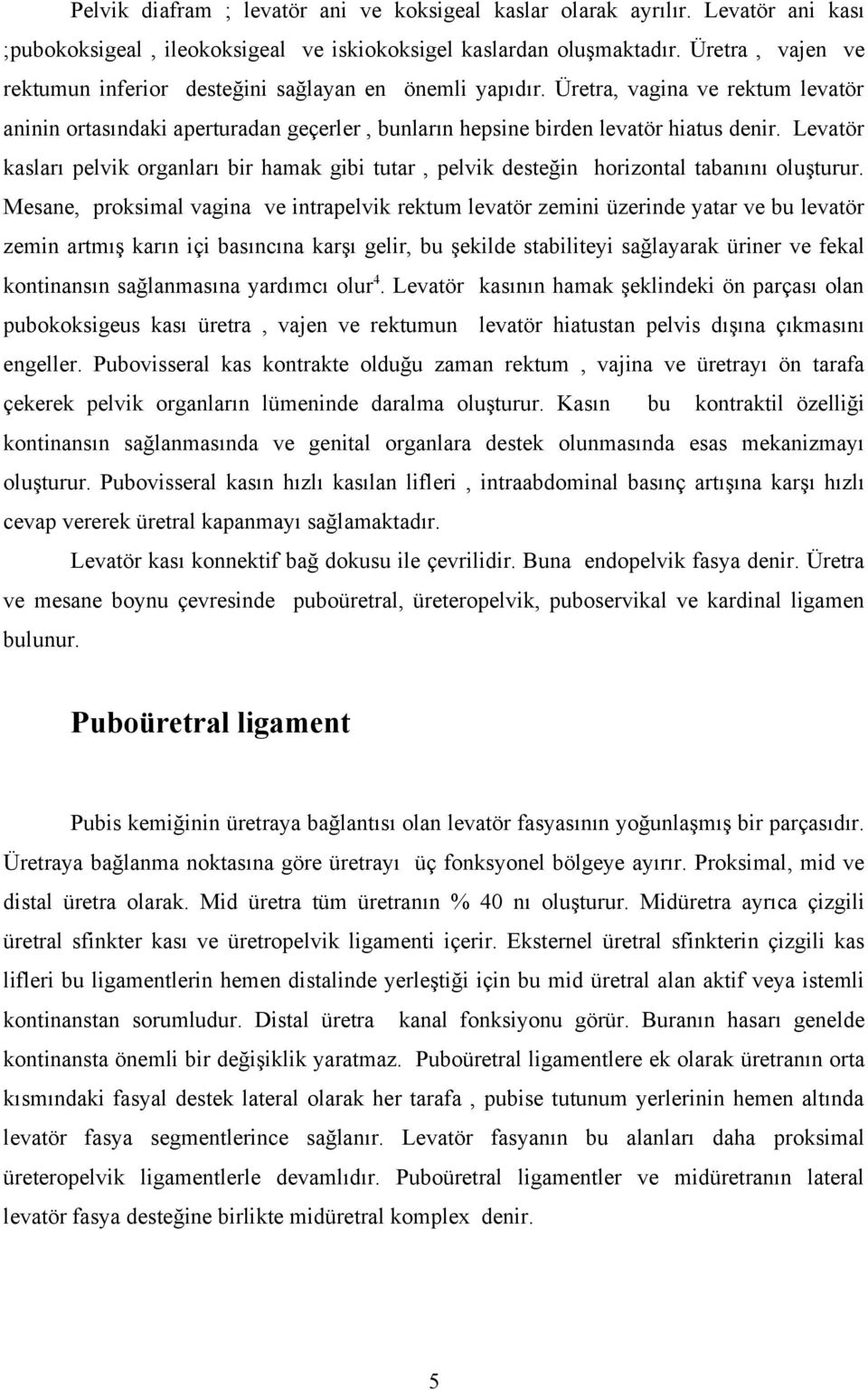 Levatör kasları pelvik organları bir hamak gibi tutar, pelvik desteğin horizontal tabanını oluşturur.