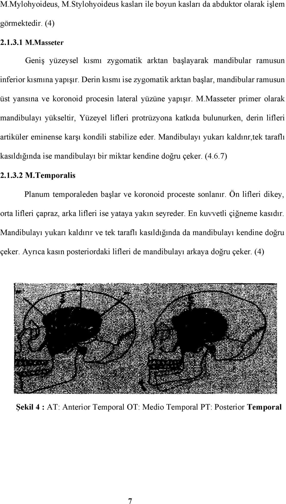 Derin kısmı ise zygomatik arktan başlar, mandibular ramusun üst yansına ve koronoid procesin lateral yüzüne yapışır. M.