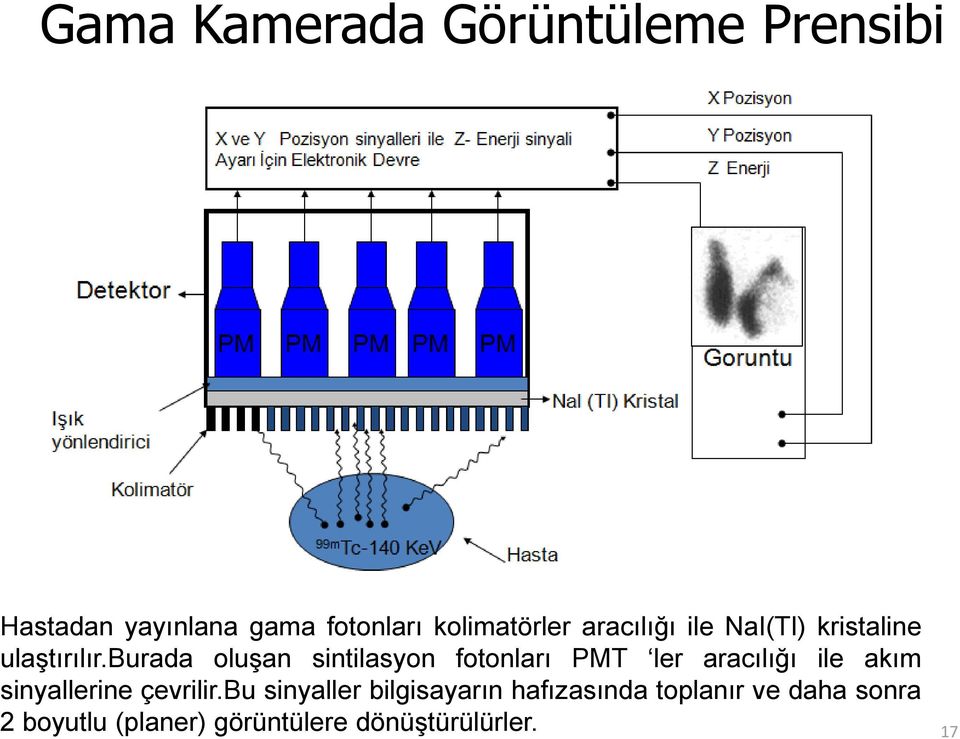 burada oluşan sintilasyon fotonları PMT ler aracılığı ile akım sinyallerine