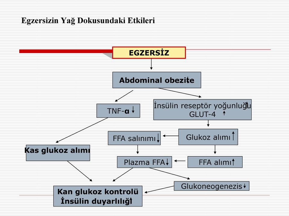 glukoz alımı FFA salınımı Plazma FFA Glukoz alımı FFA