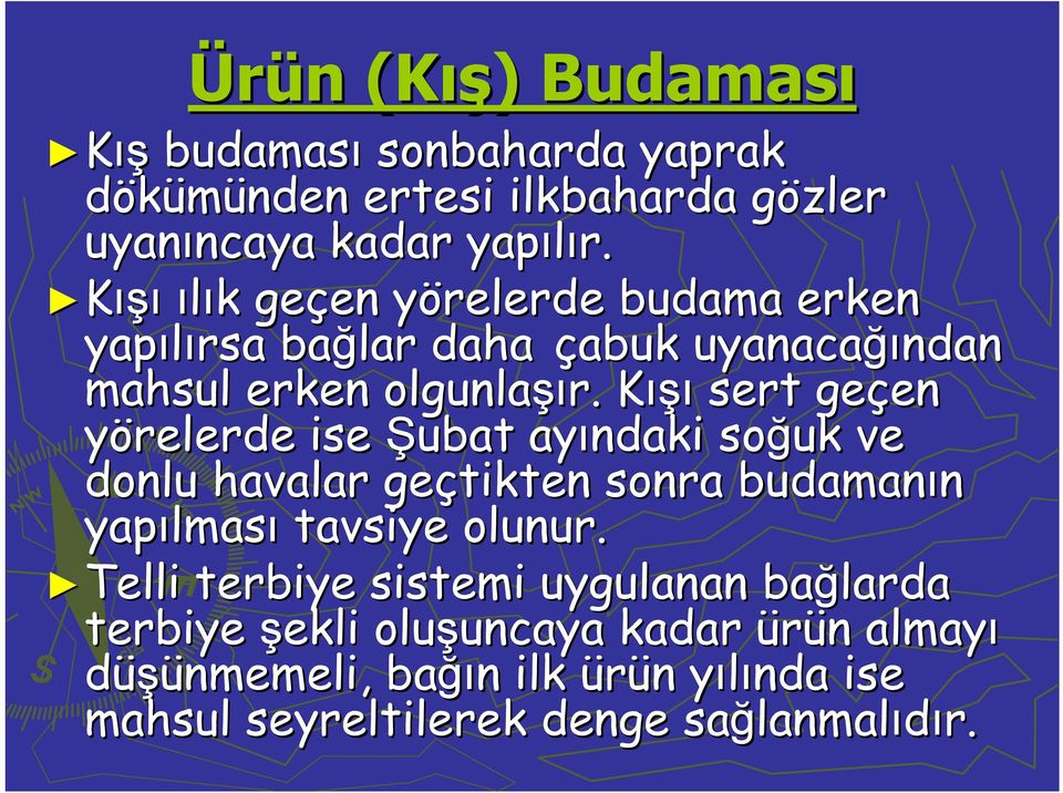 KışıK sert geçen en yörelerde ise Şubat ayındaki soğuk ve donlu havalar geçtikten sonra budamanın yapılmas lması tavsiye olunur.