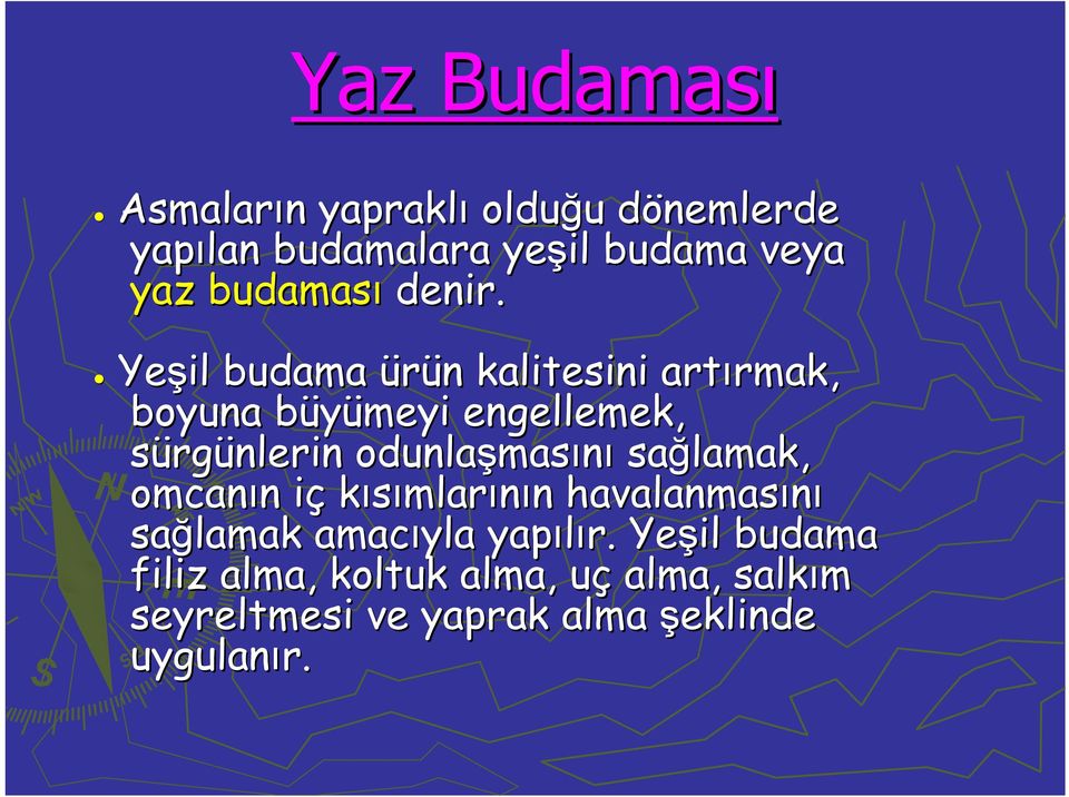 Yeşil budama ürün n kalitesini artırmak, rmak, boyuna büyümeyi b engellemek, sürgünlerin odunlaşmas