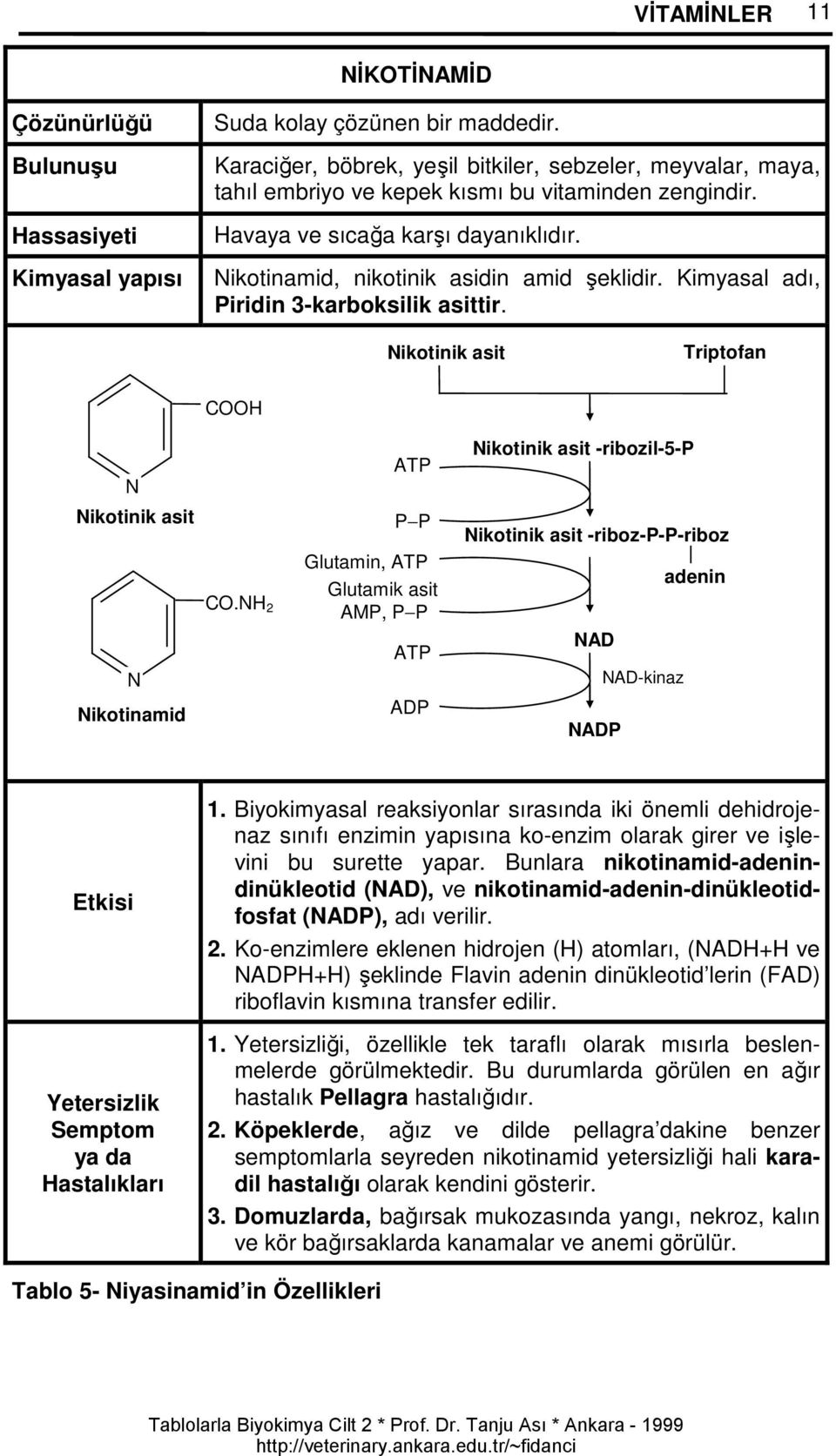 Kimyasal adı, Piridin 3-karboksilik asittir. ikotinik asit Triptofan OOH ikotinik asit ikotinamid O.