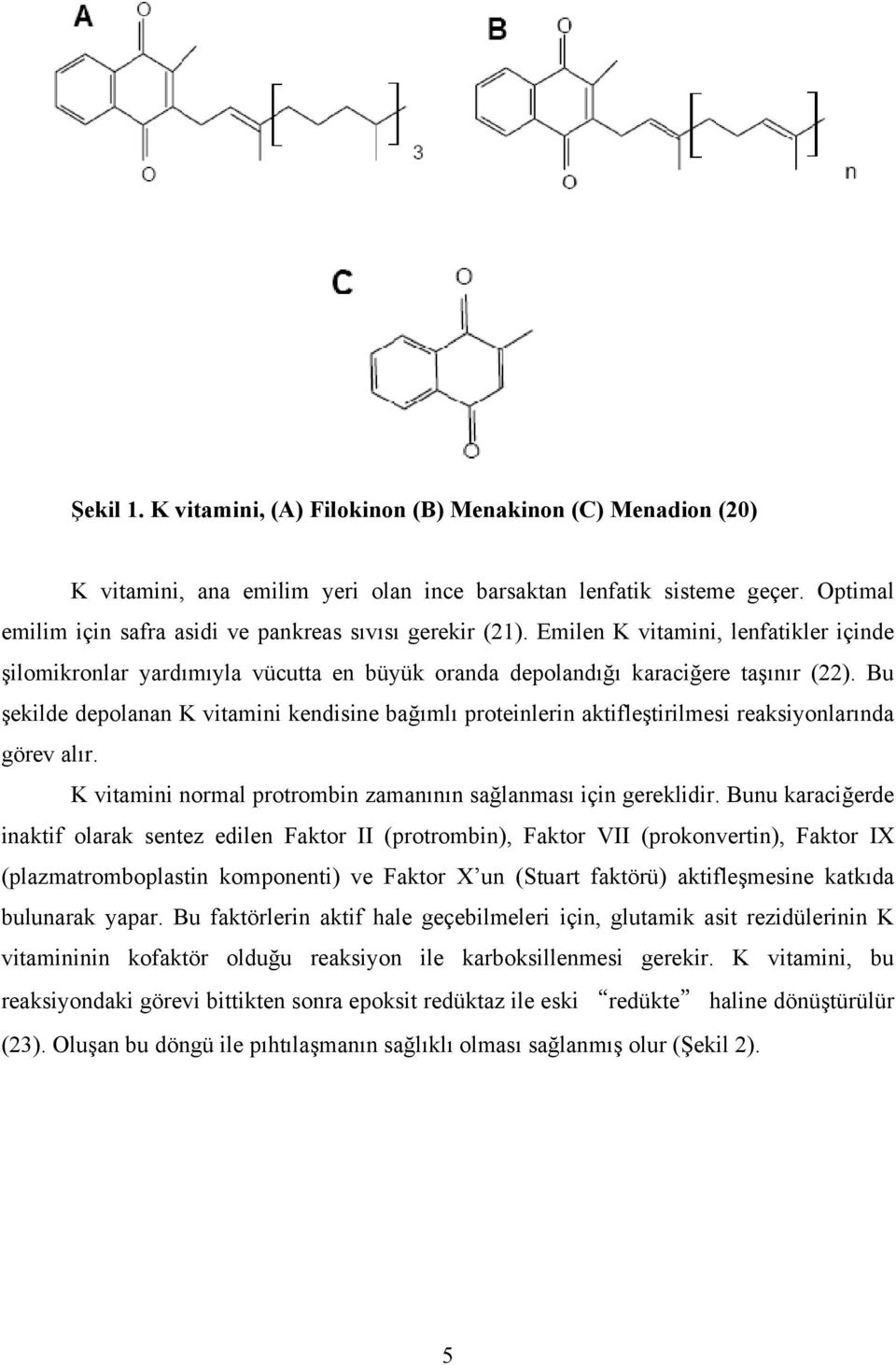 Bu şekilde depolanan K vitamini kendisine bağımlı proteinlerin aktifleştirilmesi reaksiyonlarında görev alır. K vitamini normal protrombin zamanının sağlanması için gereklidir.