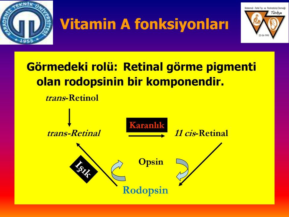 bir komponendir.