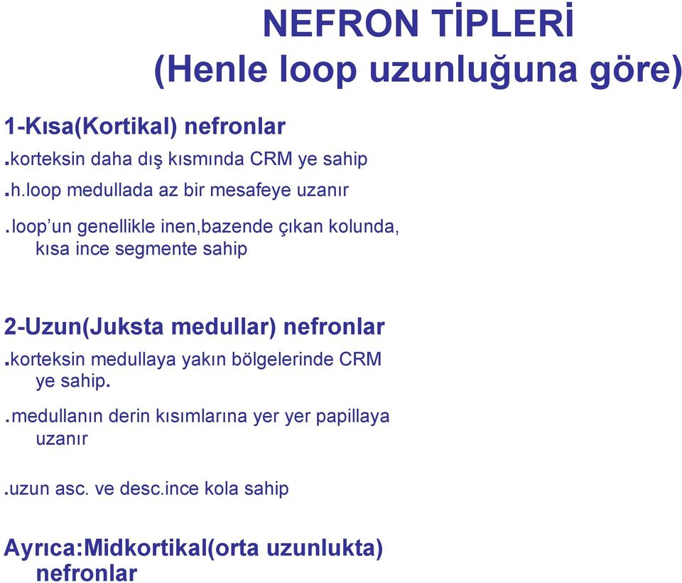 loop un genellikle inen,bazende çıkan kolunda, kısa ince segmente sahip 2-Uzun(Juksta medullar) nefronlar.