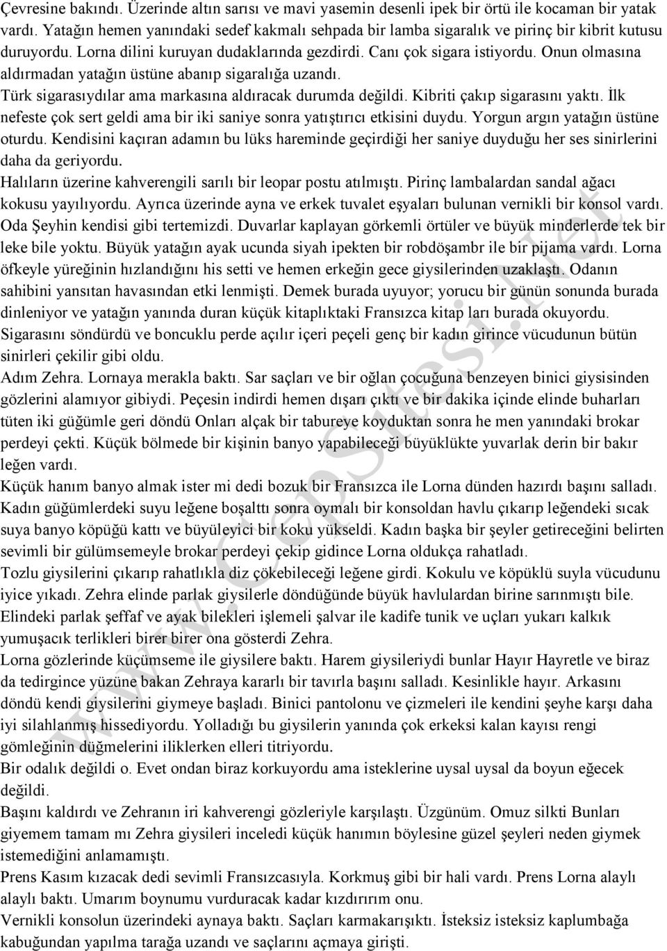 Onun olmasına aldırmadan yatağın üstüne abanıp sigaralığa uzandı. Türk sigarasıydılar ama markasına aldıracak durumda değildi. Kibriti çakıp sigarasını yaktı.