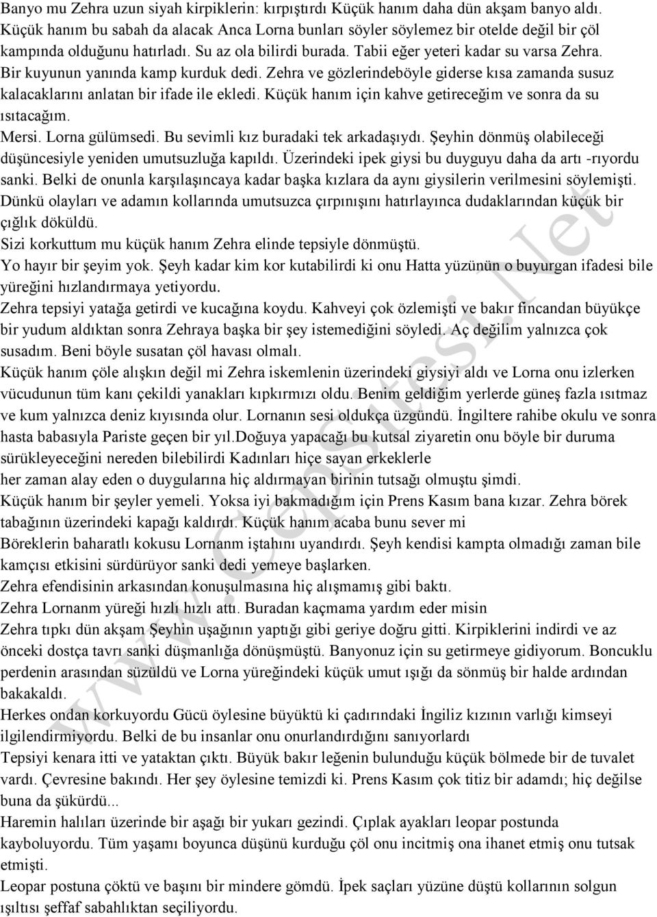 Bir kuyunun yanında kamp kurduk dedi. Zehra ve gözlerindeböyle giderse kısa zamanda susuz kalacaklarını anlatan bir ifade ile ekledi. Küçük hanım için kahve getireceğim ve sonra da su ısıtacağım.