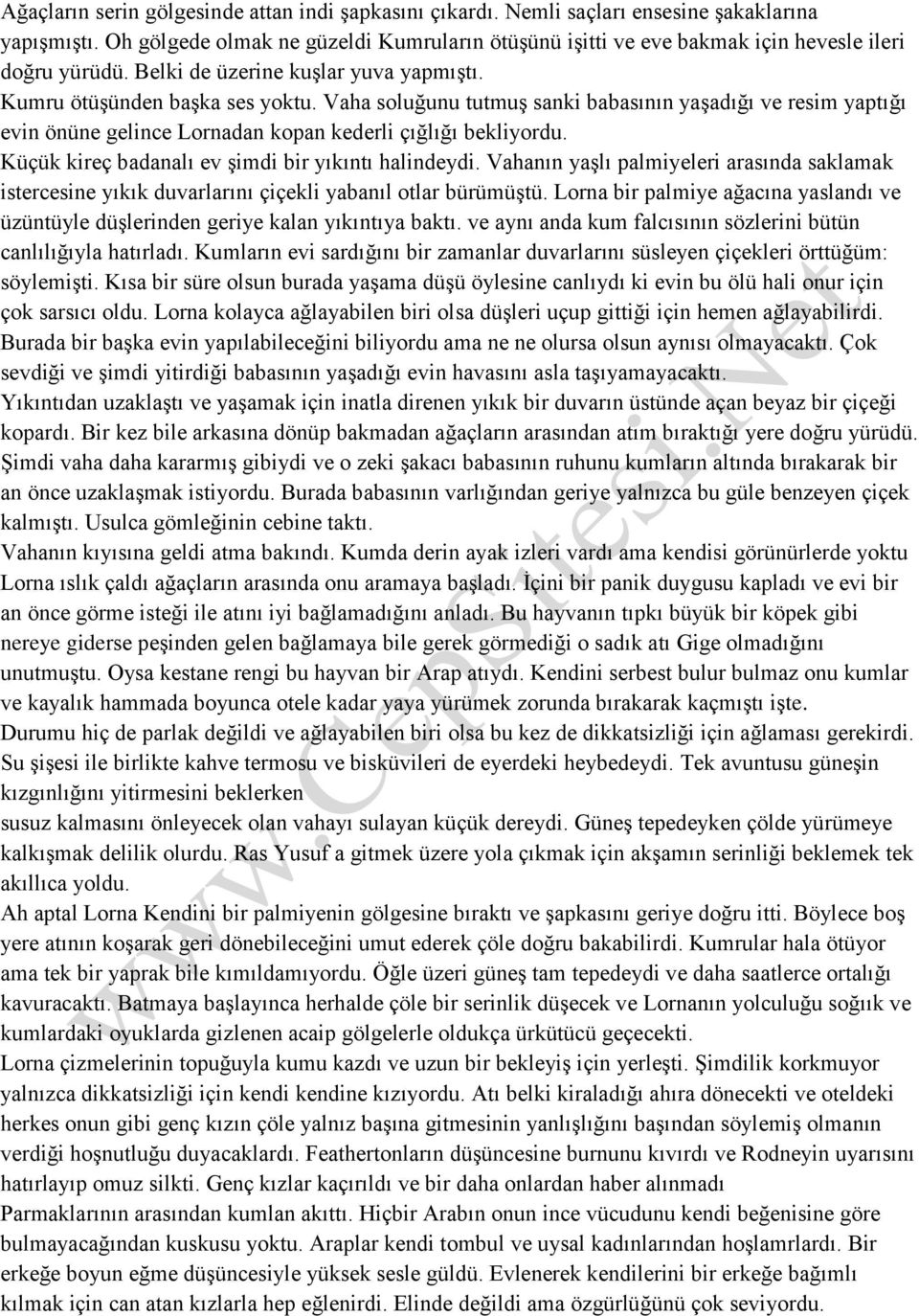 Vaha soluğunu tutmuş sanki babasının yaşadığı ve resim yaptığı evin önüne gelince Lornadan kopan kederli çığlığı bekliyordu. Küçük kireç badanalı ev şimdi bir yıkıntı halindeydi.