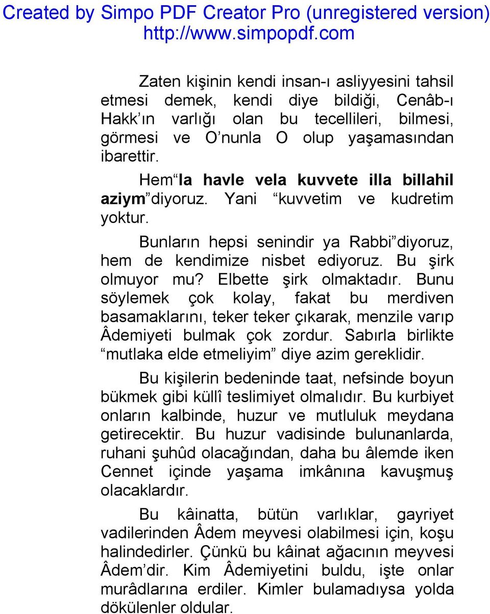 Elbette şirk olmaktadır. Bunu söylemek çok kolay, fakat bu merdiven basamaklarını, teker teker çıkarak, menzile varıp Âdemiyeti bulmak çok zordur.