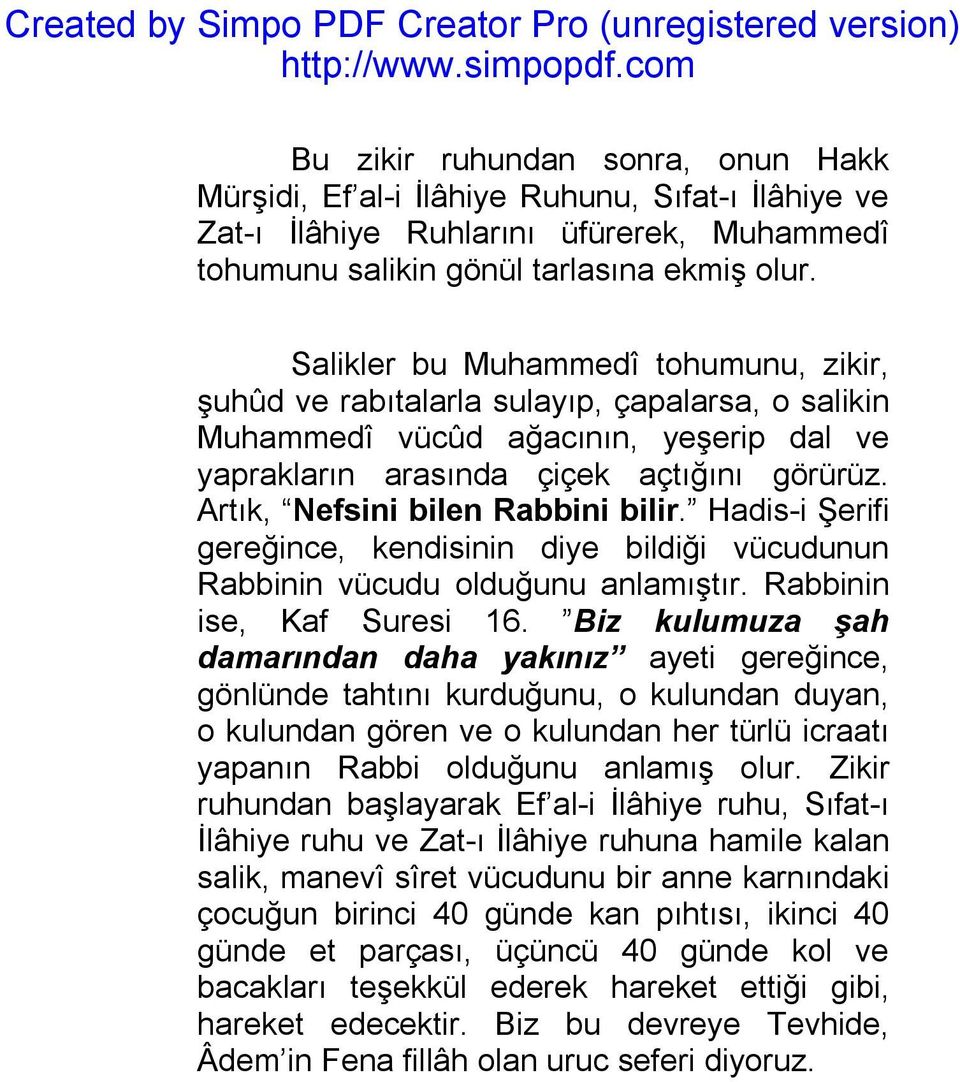 Artık, Nefsini bilen Rabbini bilir. Hadis-i Şerifi gereğince, kendisinin diye bildiği vücudunun Rabbinin vücudu olduğunu anlamıştır. Rabbinin ise, Kaf Suresi 16.