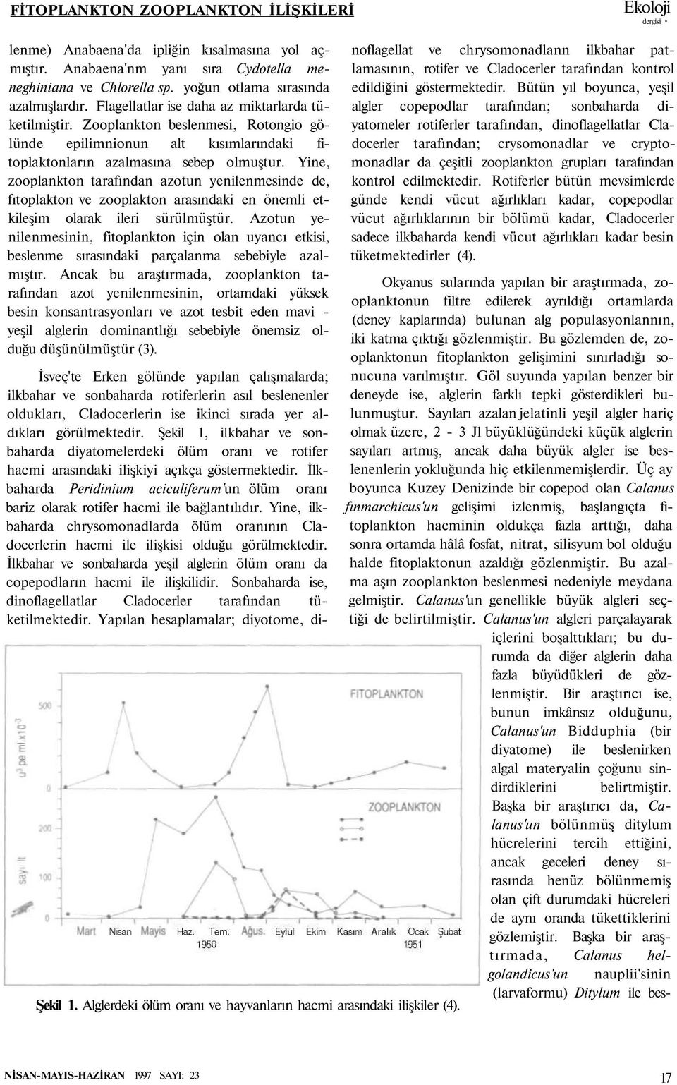 Zooplankton beslenmesi, Rotongio gölünde epilimnionun alt kısımlarındaki fitoplaktonların azalmasına sebep olmuştur.