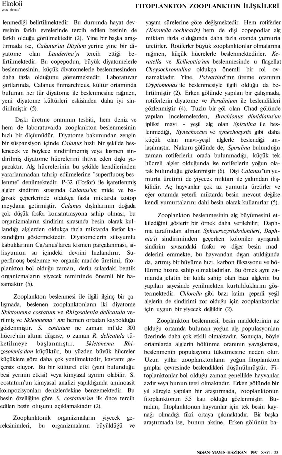 Bu copepodun, büyük diyatomelerle beslenmesinin, küçük diyatomelerle beslenmesinden daha fazla olduğunu göstermektedir.