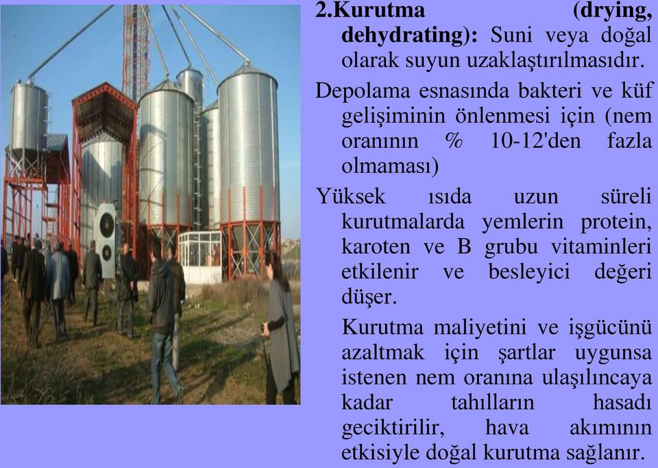 süreli kurutmalarda yemlerin protein, karoten ve B grubu vitaminleri etkilenir ve besleyici değeri düşer.