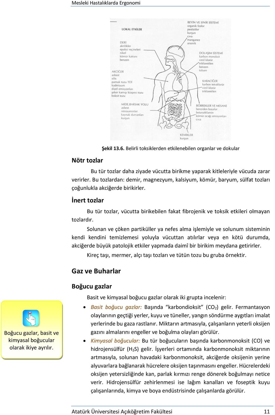 İnert tozlar Bu tür tozlar, vücutta birikebilen fakat fibrojenik ve toksik etkileri olmayan tozlardır.