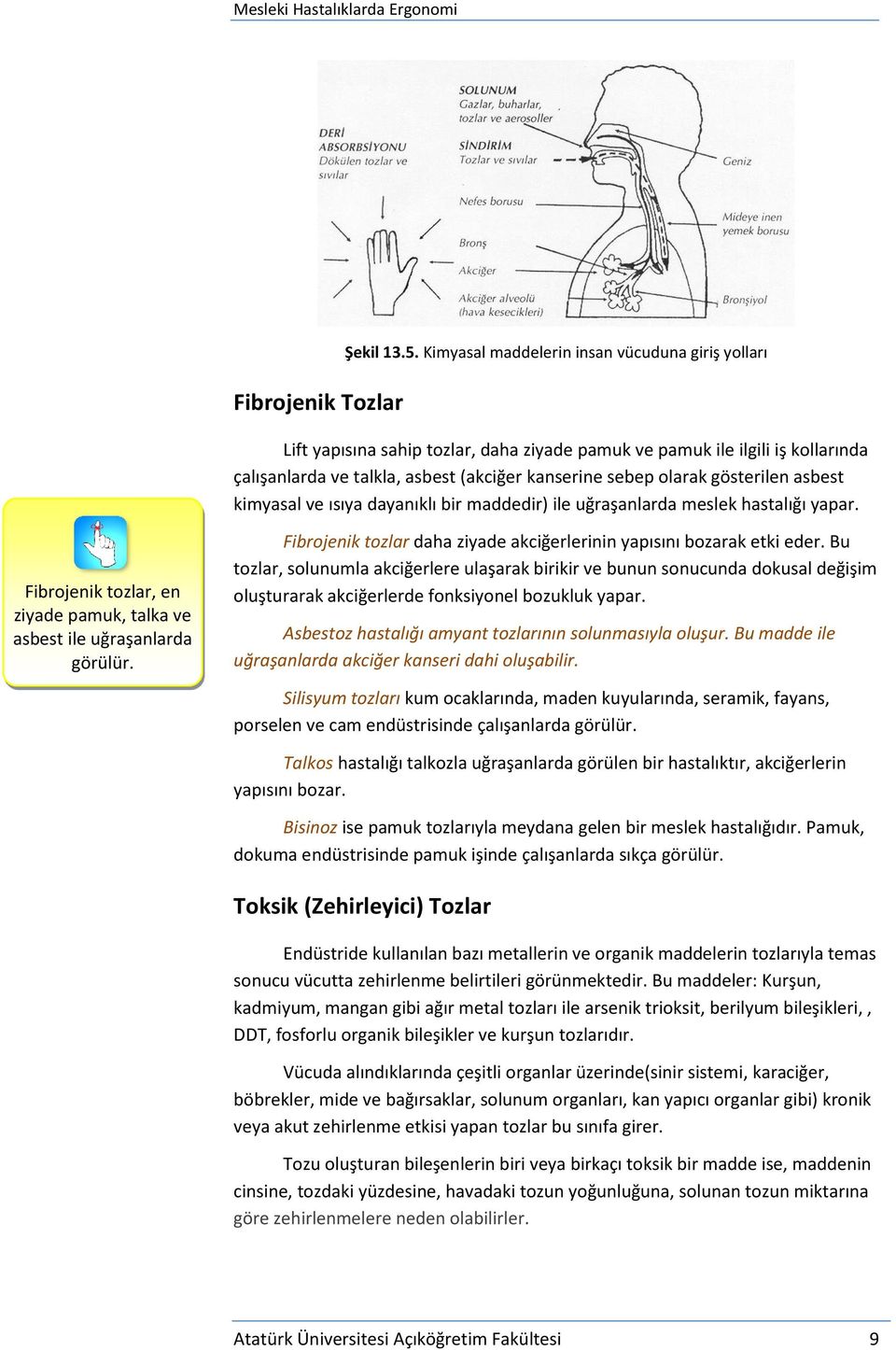 gösterilen asbest kimyasal ve ısıya dayanıklı bir maddedir) ile uğraşanlarda meslek hastalığı yapar. Fibrojenik tozlar, en ziyade pamuk, talka ve asbest ile uğraşanlarda görülür.