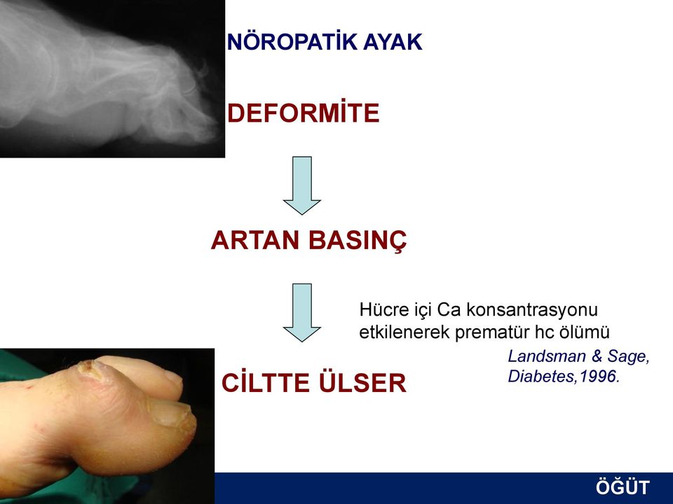 konsantrasyonu etkilenerek