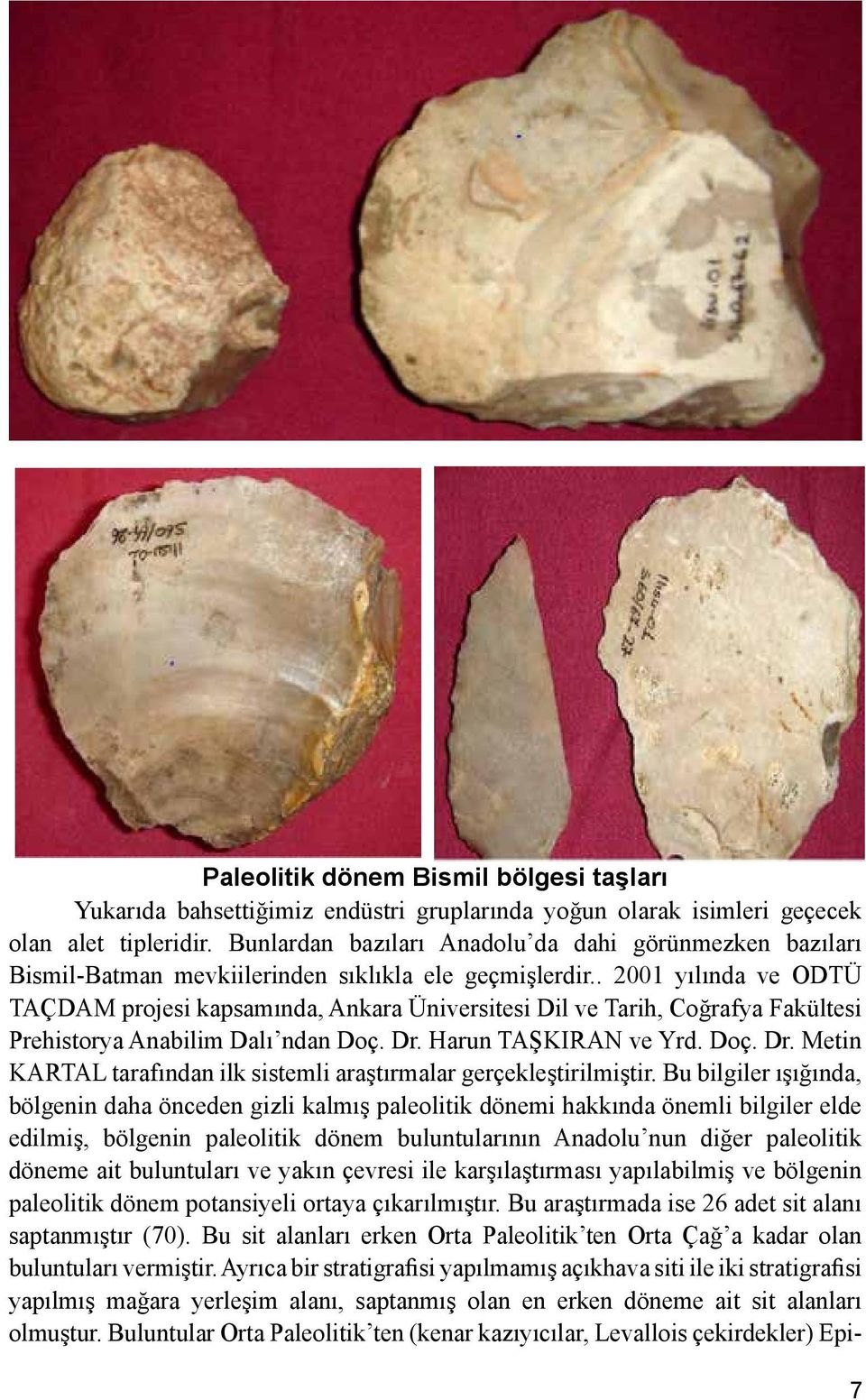 . 2001 yılında ve ODTÜ TAÇDAM projesi kapsamında, Ankara Üniversitesi Dil ve Tarih, Coğrafya Fakültesi Prehistorya Anabilim Dalı ndan Doç. Dr.