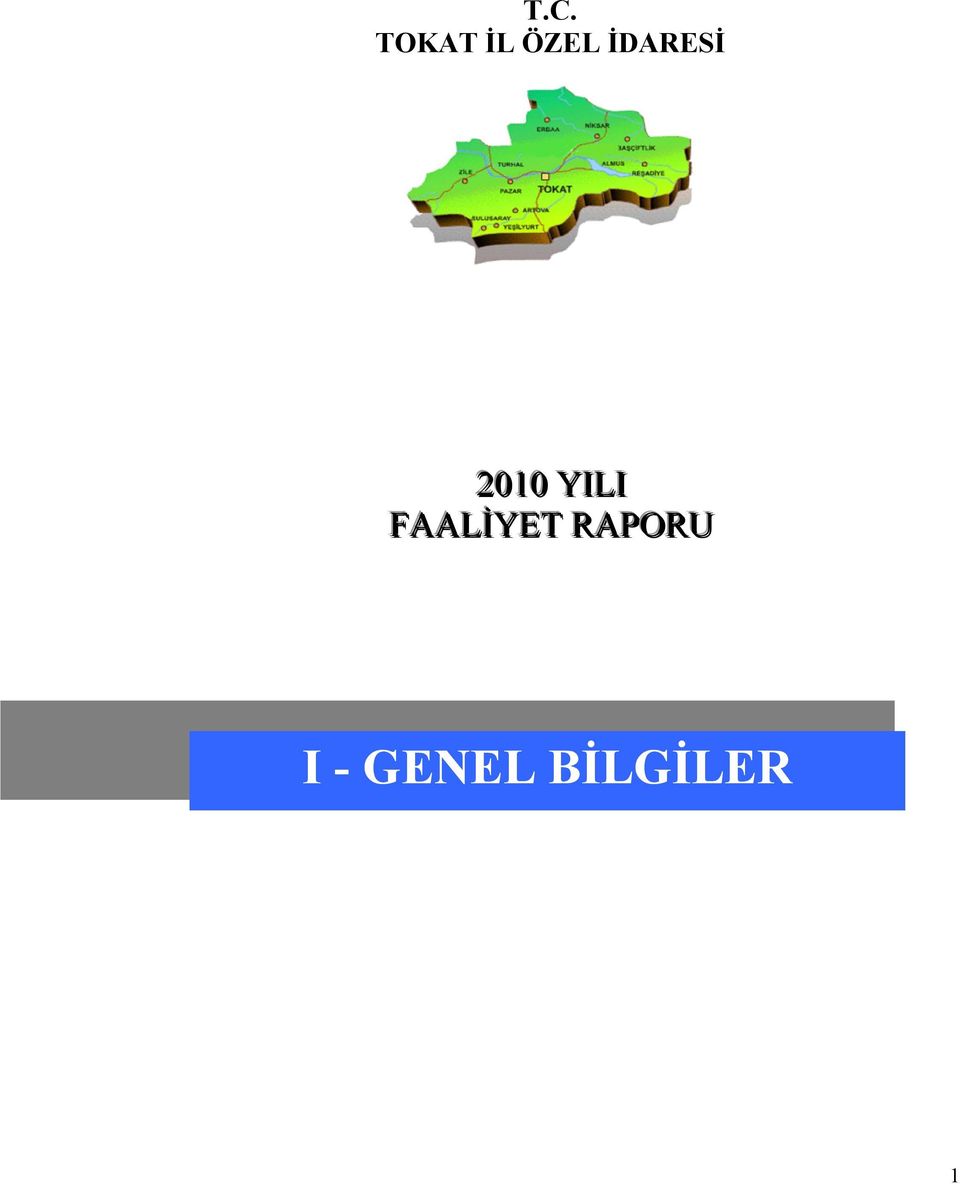 YILI FAALİYET