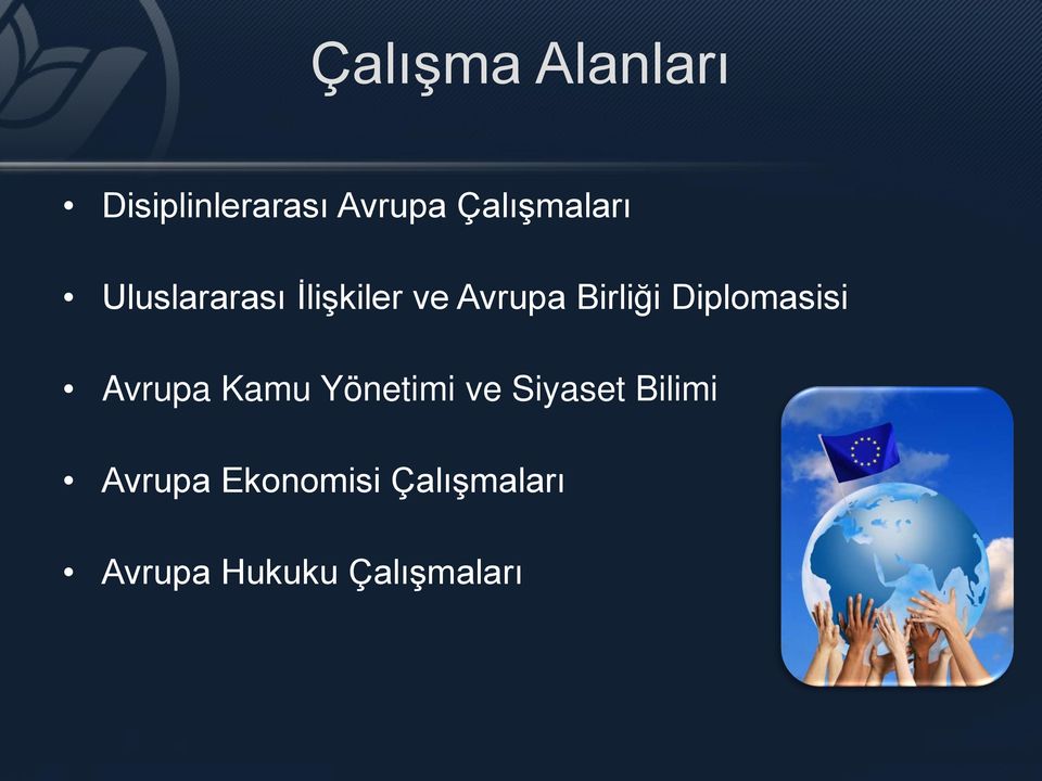 Birliği Diplomasisi Avrupa Kamu Yönetimi ve