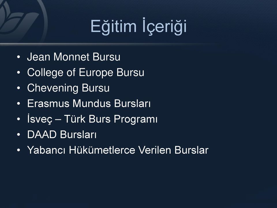 Mundus Bursları İsveç Türk Burs Programı