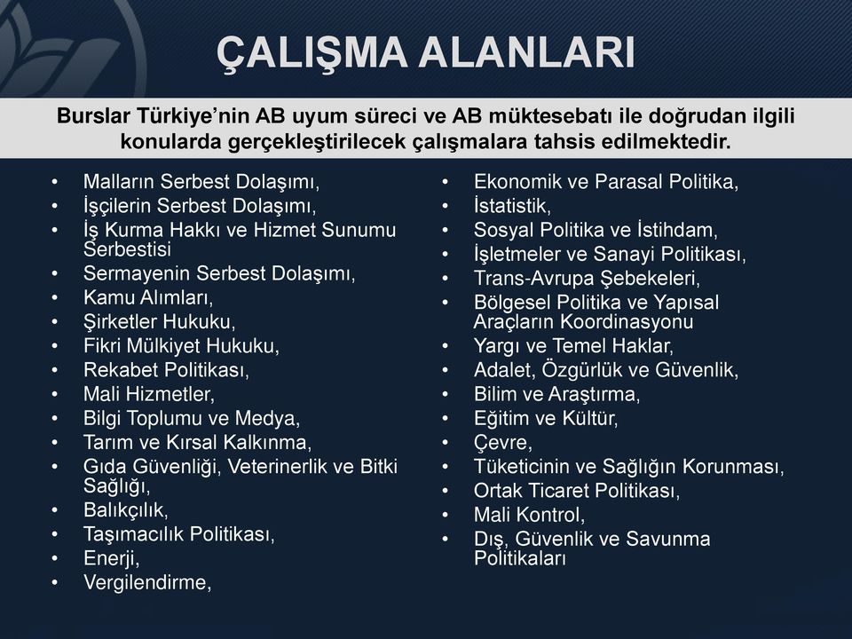 Politikası, Mali Hizmetler, Bilgi Toplumu ve Medya, Tarım ve Kırsal Kalkınma, Gıda Güvenliği, Veterinerlik ve Bitki Sağlığı, Balıkçılık, Taşımacılık Politikası, Enerji, Vergilendirme, Ekonomik ve