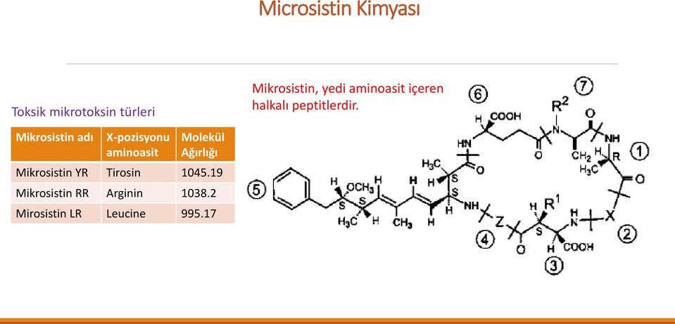 Mikrosistin adı X-pozisyonu aminoasit Molekül Ağırlığı