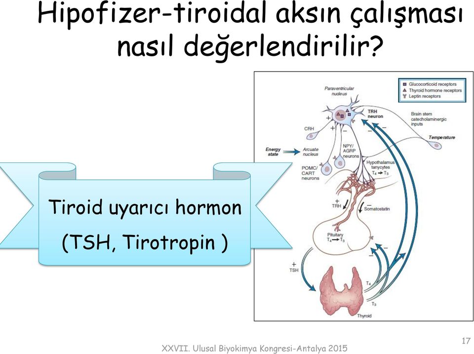 değerlendirilir?