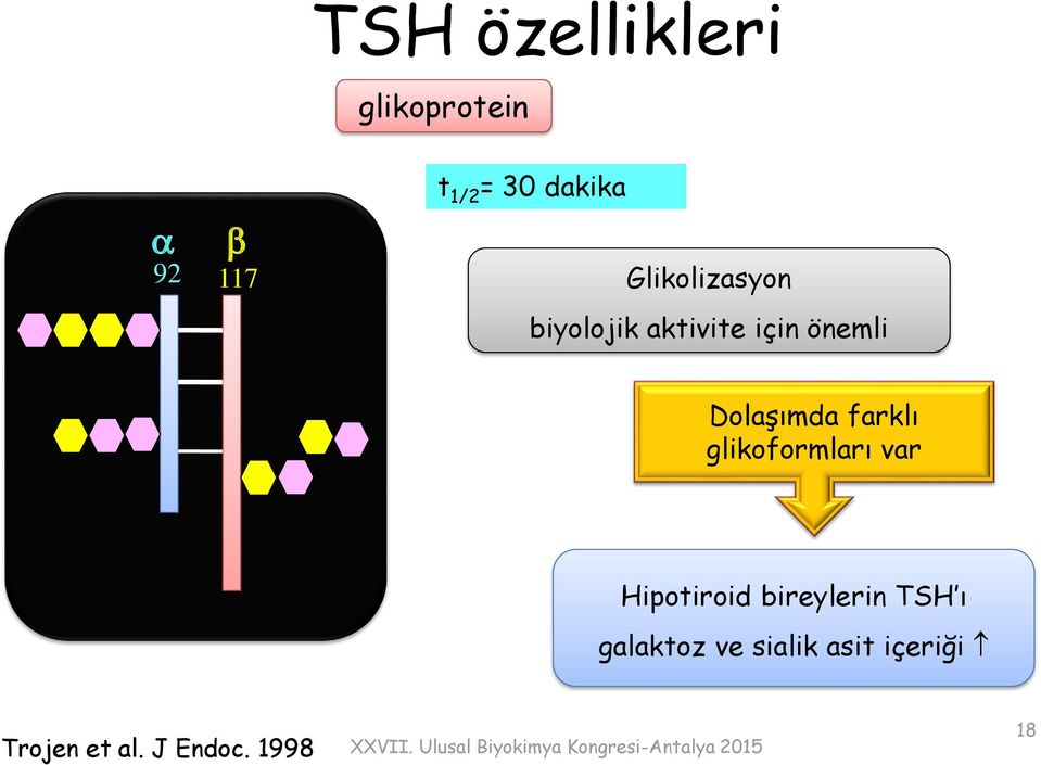 farklı glikoformları var Hipotiroid bireylerin TSH ı