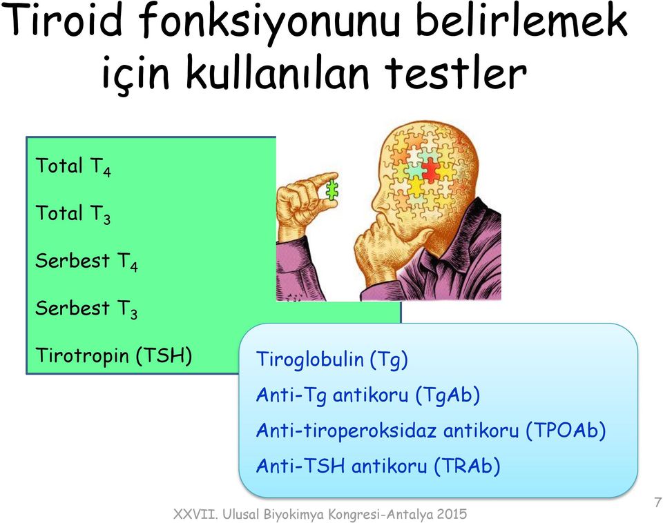 (TSH) Tiroglobulin (Tg) Anti-Tg antikoru (TgAb)