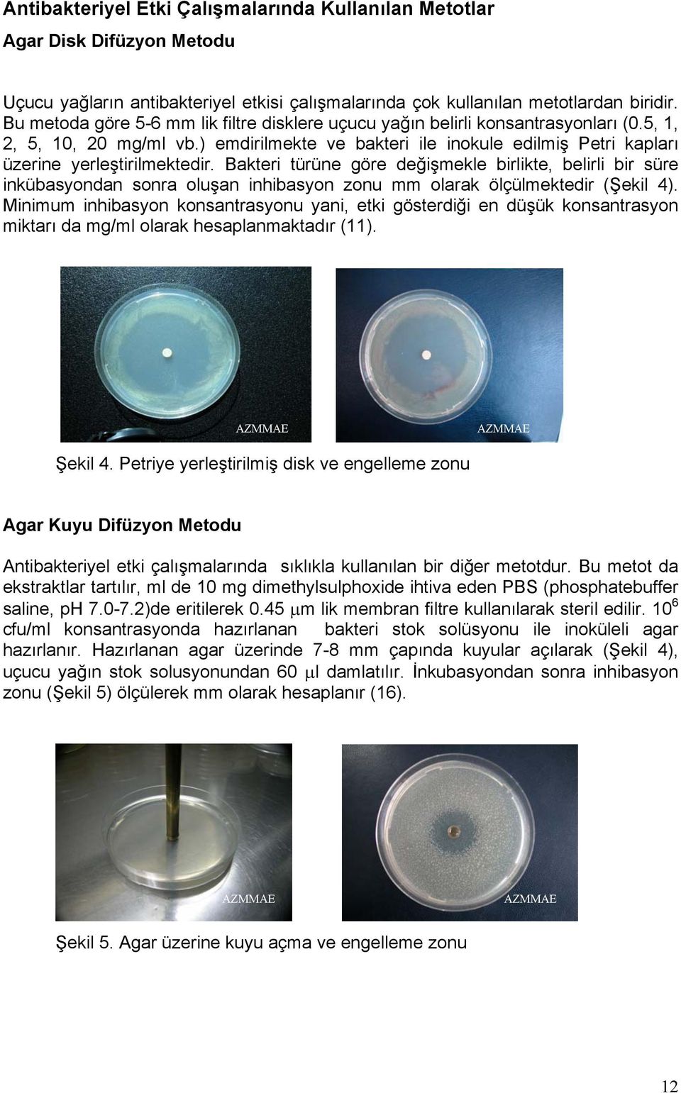 Bakteri türüne göre değişmekle birlikte, belirli bir süre inkübasyondan sonra oluşan inhibasyon zonu mm olarak ölçülmektedir (Şekil 4).