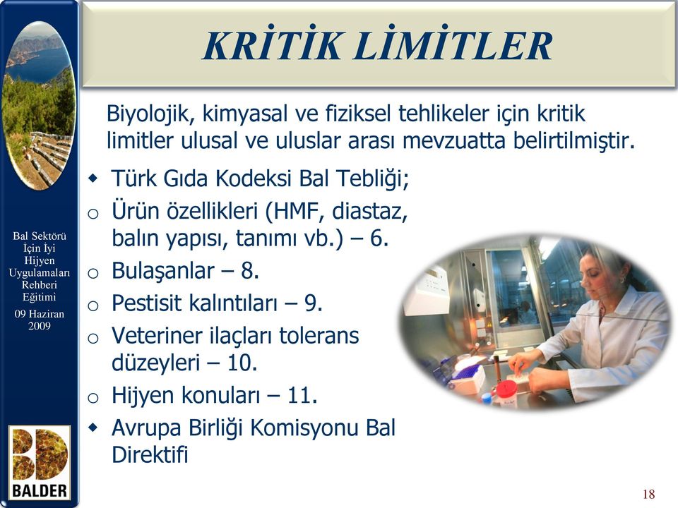 Türk Gıda Kodeksi Bal Tebliği; o Ürün özellikleri (HMF, diastaz, balın yapısı, tanımı vb.