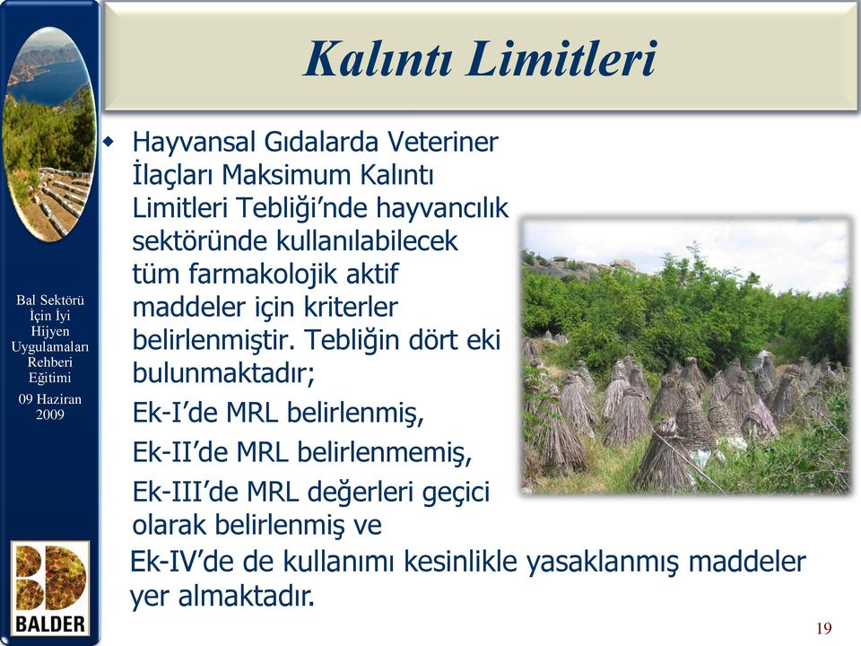 Tebliğin dört eki bulunmaktadır; Ek-I de MRL belirlenmiş, Ek-II de MRL belirlenmemiş, Ek-III de MRL