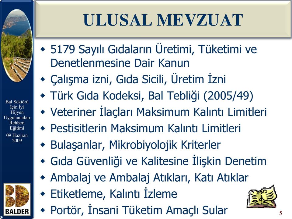 Pestisitlerin Maksimum Kalıntı Limitleri Bulaşanlar, Mikrobiyolojik Kriterler Gıda Güvenliği ve Kalitesine