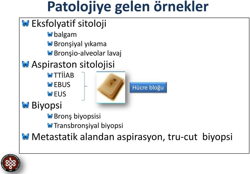 sitolojisi TTİİAB EBUS Hücre bloğu EUS Biyopsi Bronş