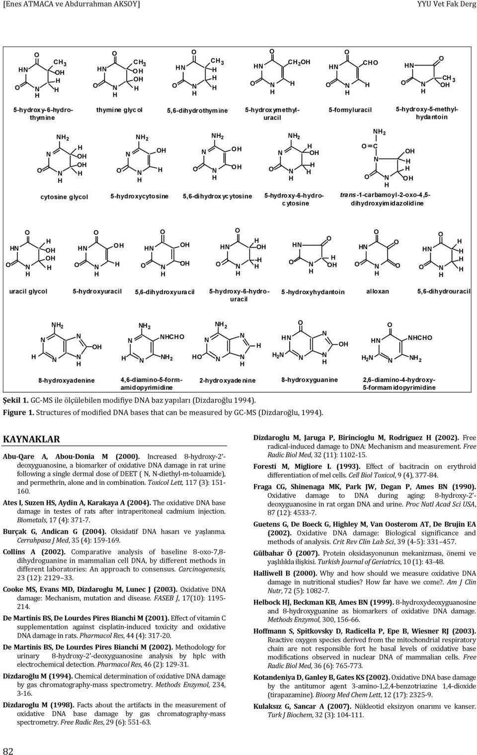 5-hydroxyhydantoin alloxan 5,6-dihydrouracil 2 2 C 2 2 2 2 C 2 8-hydroxyadenine 2-hydroxyadenine Şekil 1. GC-MS ile ölçülebilen modifiye DA baz yapıları (Dizdaroğlu 1994). 8-hydroxyguanine Figure 1.