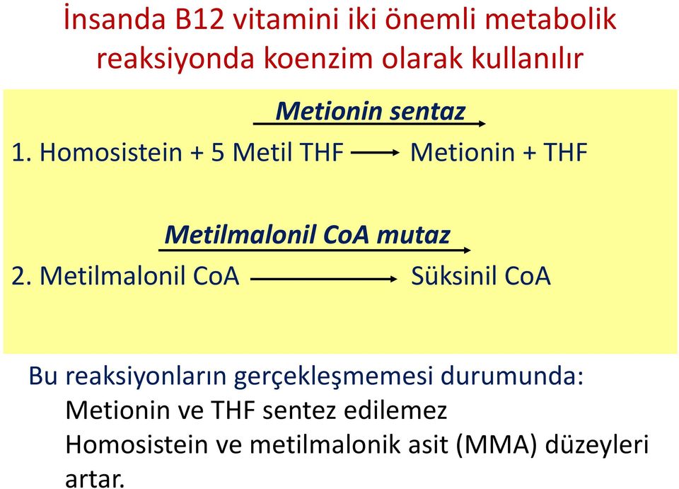 Homosistein + 5 Metil THF Metionin + THF Metilmalonil CoA mutaz 2.