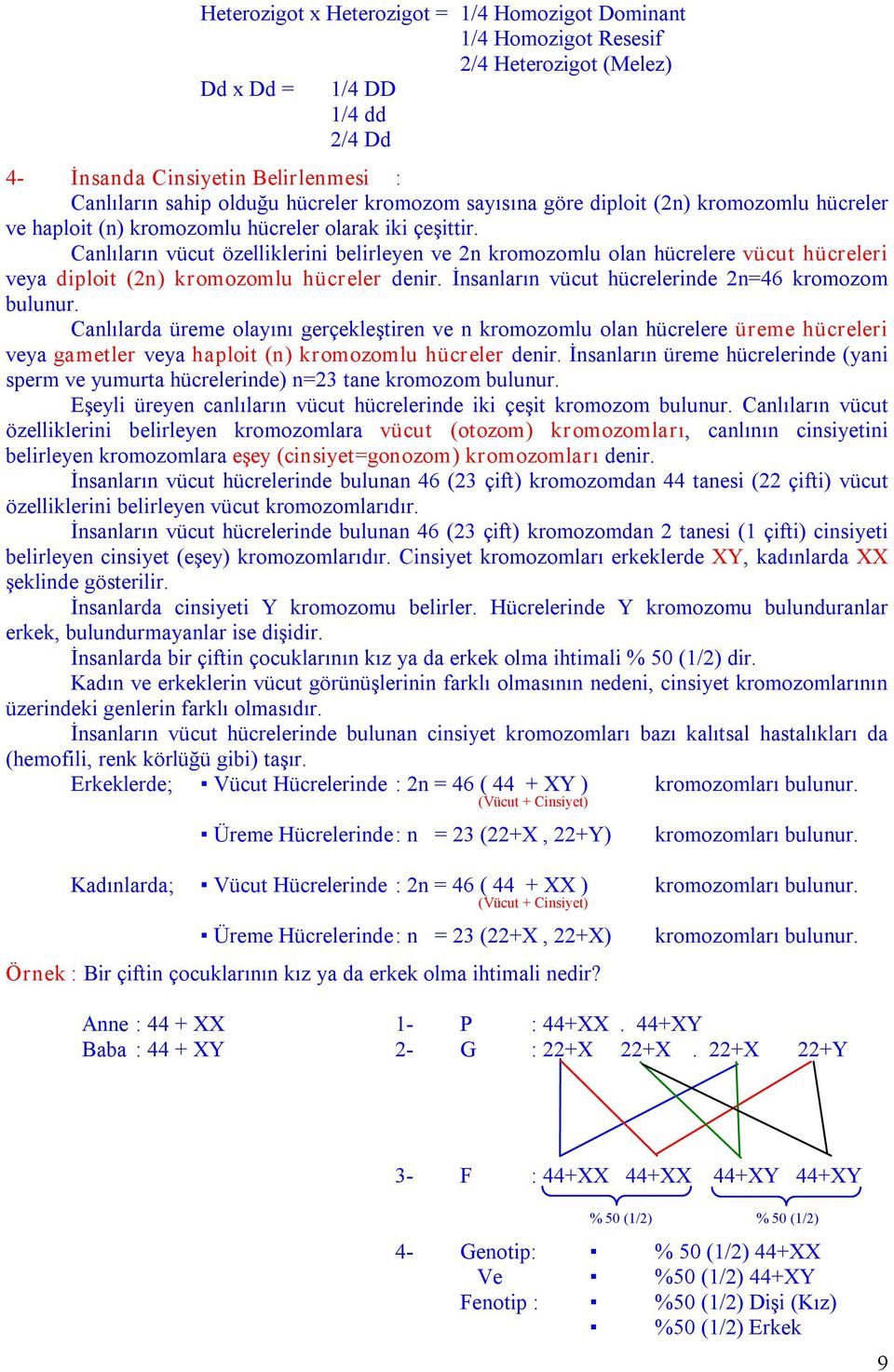 Canlıların vücut özelliklerini belirleyen ve 2n kromozomlu olan hücrelere vücut hücreleri veya diploit (2n) kromozomlu hücreler denir. İnsanların vücut hücrelerinde 2n=46 kromozom bulunur.