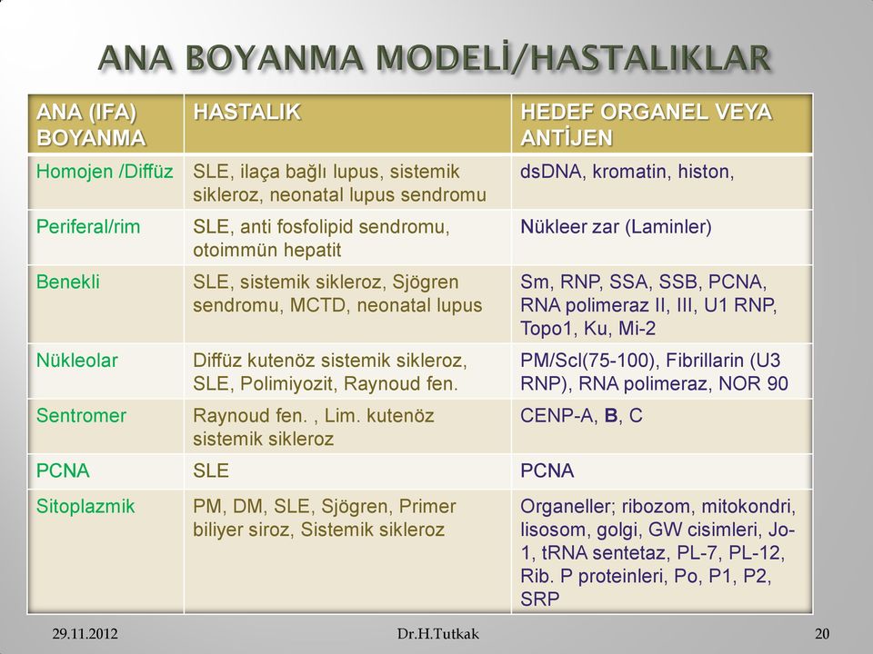 kutenöz sistemik sikleroz PCNA SLE PCNA Sitoplazmik PM, DM, SLE, Sjögren, Primer biliyer siroz, Sistemik sikleroz HEDEF ORGANEL VEYA ANTİJEN dsdna, kromatin, histon, Nükleer zar (Laminler) Sm, RNP,