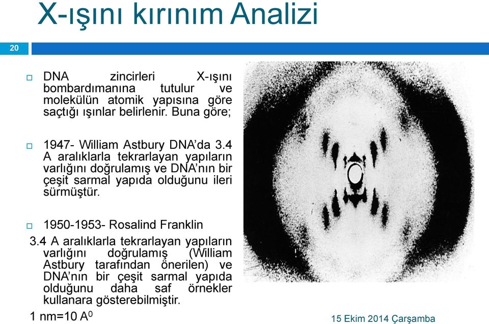 4 A aralıklarla tekrarlayan yapıların varlığını doğrulamış ve DNA nın bir çeşit sarmal yapıda olduğunu ileri sürmüştür.