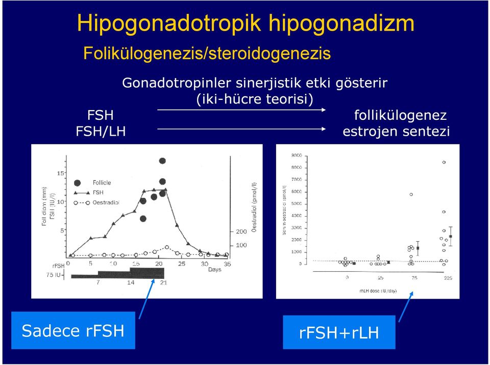 Gonadotropinler sinerjistik etki gösterir