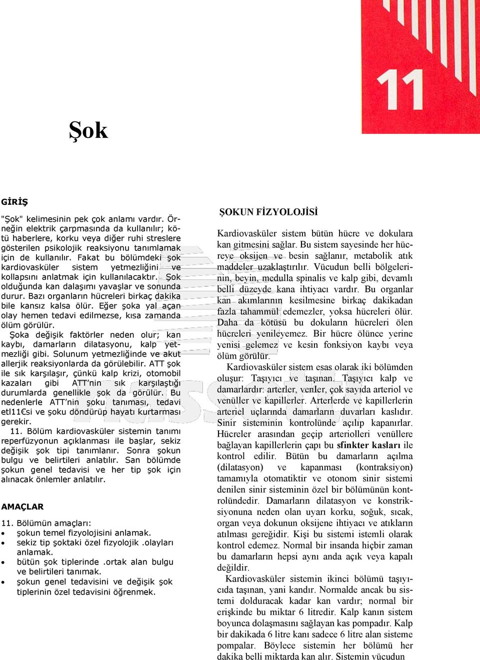 Fakat bu bölümdeki şok kardiovasküler sistem yetmezliğini ve kollapsını anlatmak için kullanılacaktır. Şok olduğunda kan dalaşımı yavaşlar ve sonunda durur.