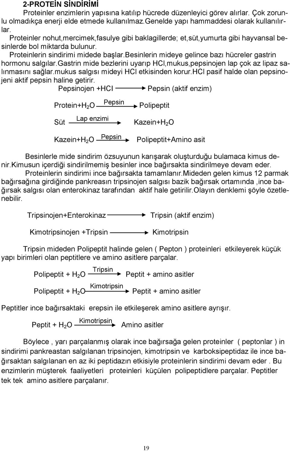 besinlerin mideye gelince bazı hücreler gastrin hormonu salgılar.gastrin mide bezlerini uyarıp HCl,mukus,pepsinojen lap çok az lipaz salınmasını sağlar.mukus salgısı mideyi HCl etkisinden korur.