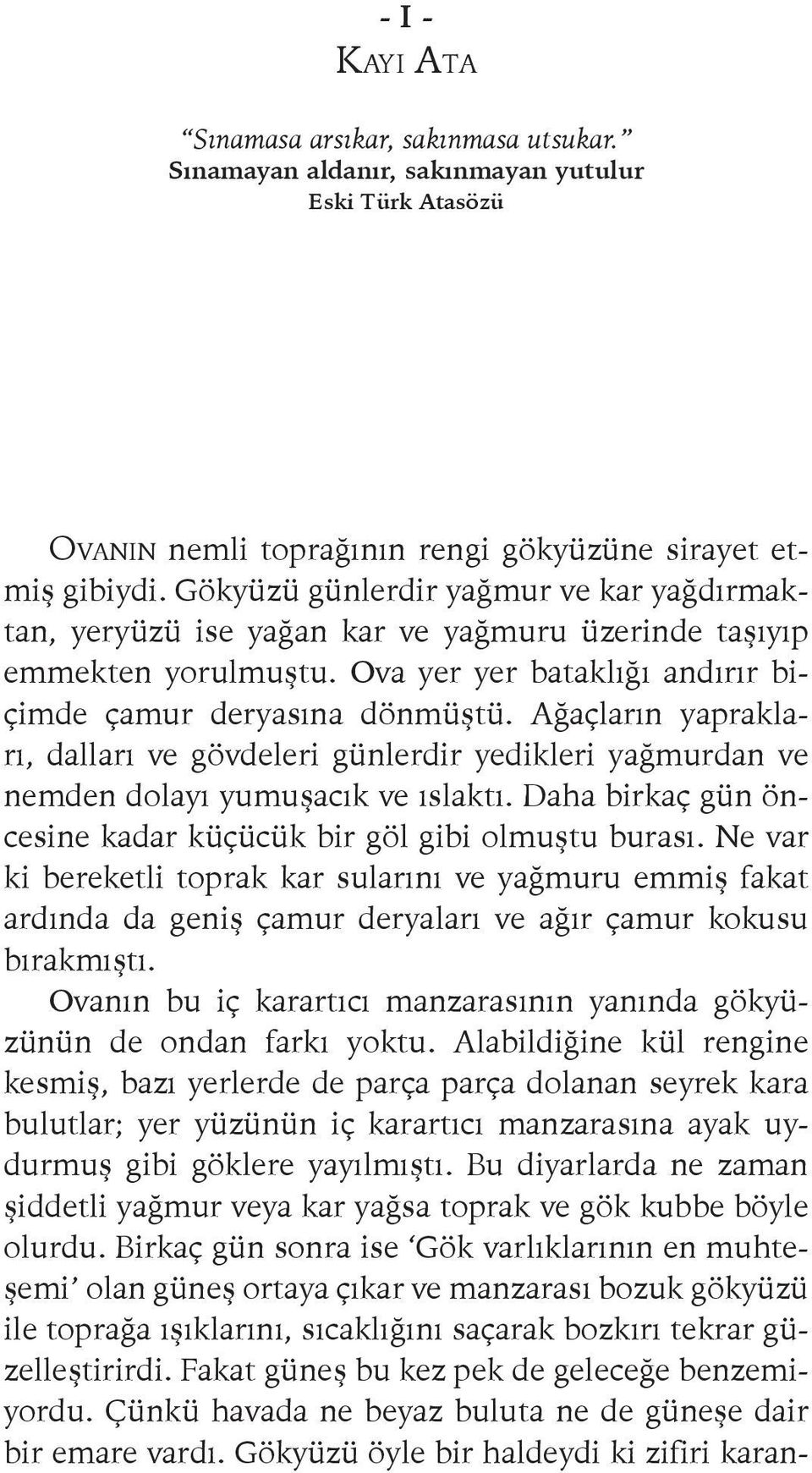 Ağaçların yaprakları, dalları ve gövdeleri günlerdir yedikleri yağmurdan ve nemden dolayı yumuşacık ve ıslaktı. Daha birkaç gün öncesine kadar küçücük bir göl gibi olmuştu burası.