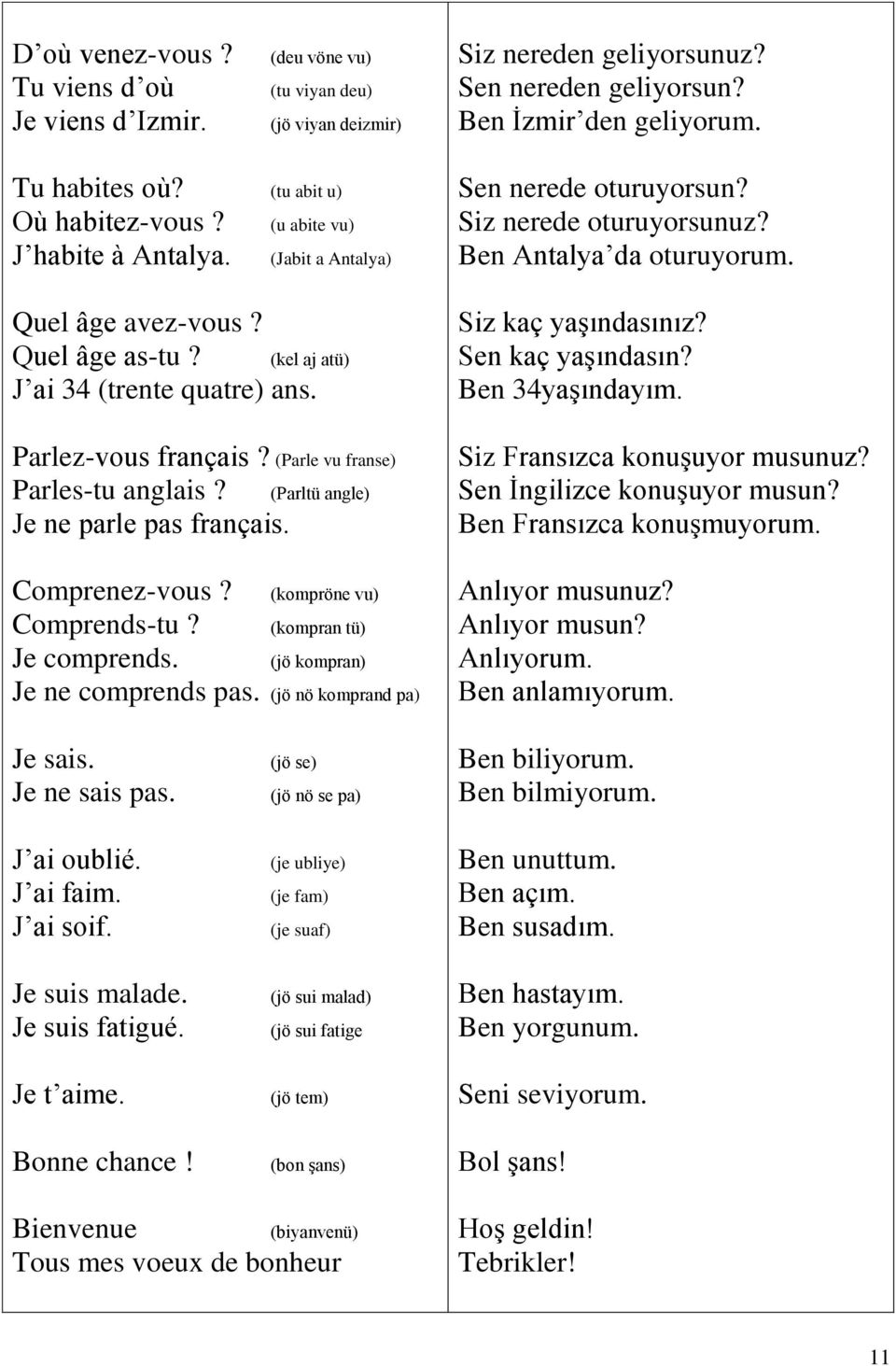 (Parle vu franse) Parles-tu anglais? (Parltü angle) Je ne parle pas français. Comprenez-vous? (kompröne vu) Comprends-tu? (kompran tü) Je comprends. (jö kompran) Je ne comprends pas.