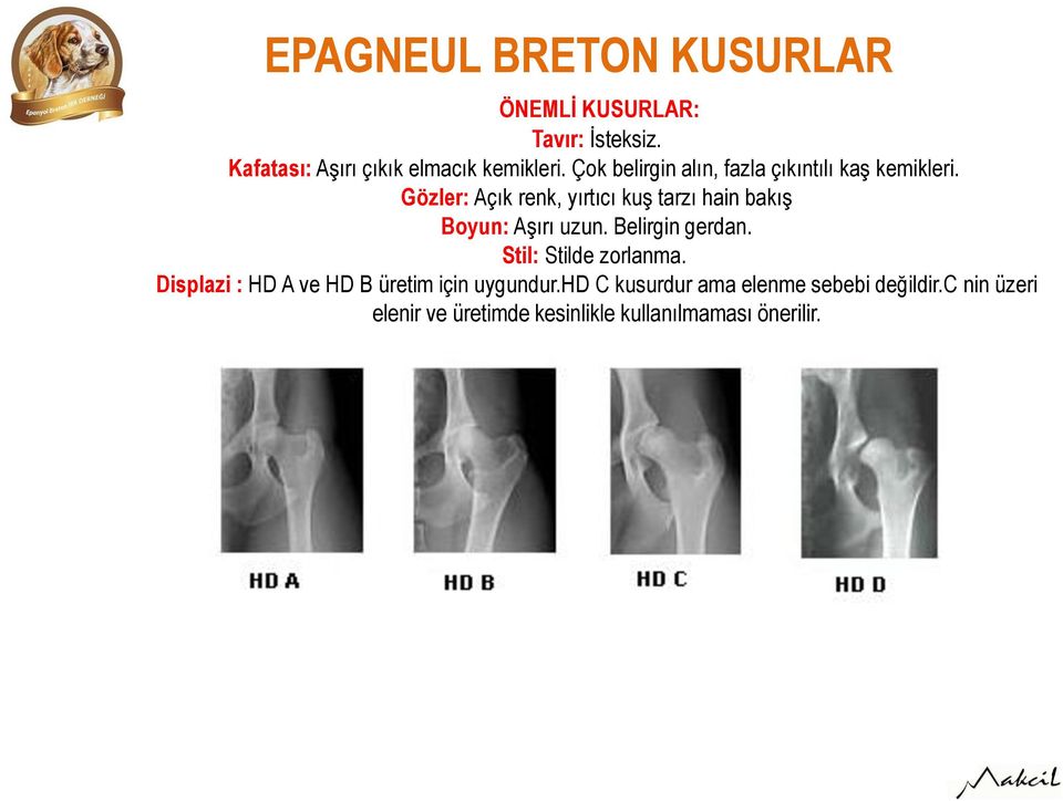 Gözler: Açık renk, yırtıcı kuş tarzı hain bakış Boyun: Aşırı uzun. Belirgin gerdan.